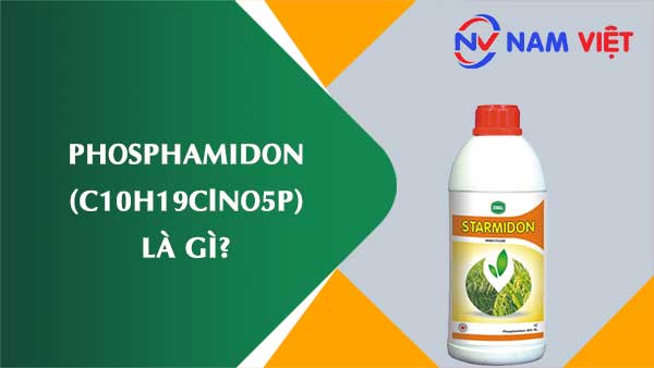 Phosphamidon ảnh hưởng như thế nào đến sức khỏe người lao động?