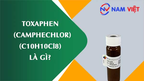 Cacbon disunfua ảnh hưởng như thế nào đến sức khỏe người lao động?