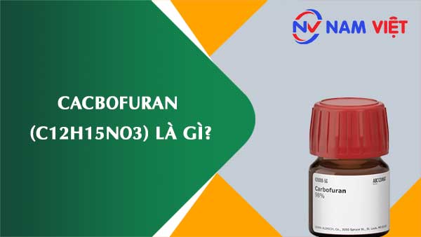 Cacbofuran ảnh hưởng như thế nào đến sức khỏe người lao động?