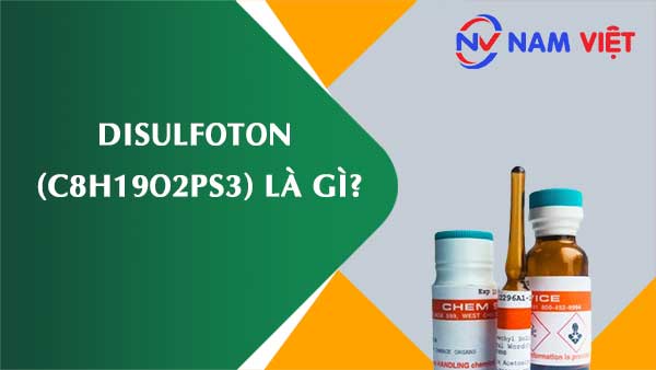 Disulfoton ảnh hưởng như thế nào đến sức khỏe người lao động?