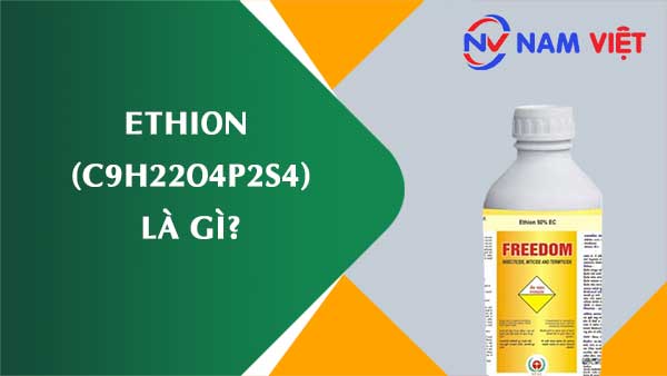 Ethion ảnh hưởng như thế nào đến sức khỏe người lao động?