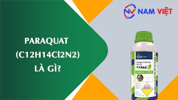 Paraquat ảnh hưởng như thế nào đến sức khỏe người lao động?