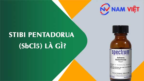Stibi pentadorua ảnh hưởng như thế nào đến sức khỏe người lao động?