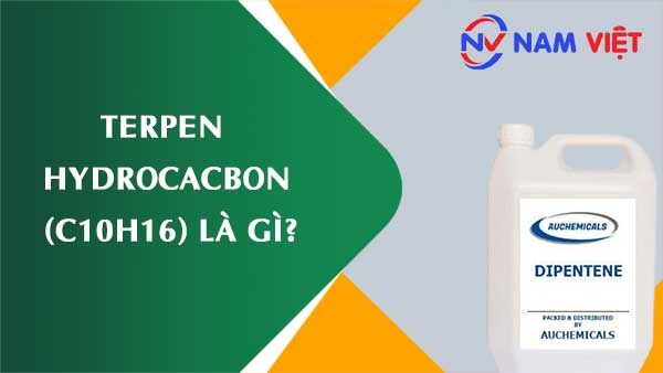 Terpen hydrocacbon ảnh hưởng như thế nào đến sức khỏe người lao động?