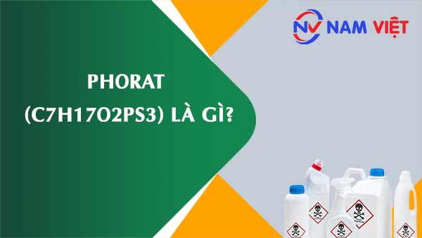 Phorat ảnh hưởng như thế nào đến sức khỏe người lao động?