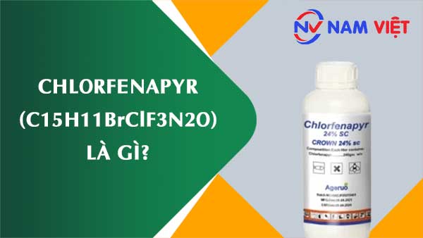 Chlorfenapyr ảnh hưởng như thế nào đến sức khỏe người lao động?